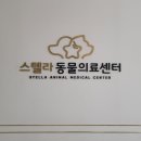 스텔라동물의료센터 이미지