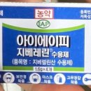 아이에이피