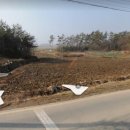 진흥114공인중개사사무소 이미지