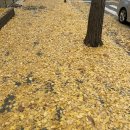 365 하늘애한의원 강동본점 이미지