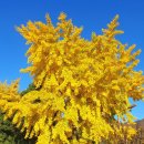 대율보건진료소 이미지