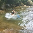 별바라기민박