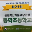 동화초등학교 이미지
