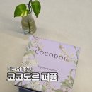 코코도르 퍼퓸 디퓨저 블랙체리 재구매 후기