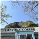 레이지박스 제주도 서귀포시 산방산 카페 <b>레이지</b><b>박스</b>(Lazybox Coffee)