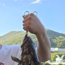 강화선두바다낚시터 이미지