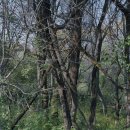 DMZ 오픈 페스티벌(DMZ전시) 이미지