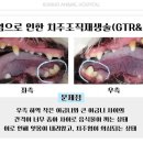 금호동물병원 이미지