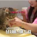 라라농장 이미지