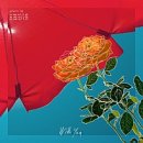그린씨 네이버블로그