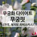 무궁핏, 무궁화 다이어트가 요즘 화제라던데 (가격, 평화 추출물)