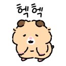 워시프렌즈셀프빨래방남동구서 이미지