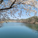 고남2리 이미지