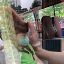 공임나라오산궐동점 이미지