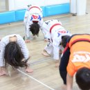 용인대KAT태권도 이미지