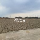 귀한손님공인중개사사무소 이미지