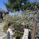 찰칵찰칵 스마트폰 사진반 | 삼남매가 푹 빠진 키즈 스마트폰 장난감 솔직 후기