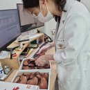 하나약업사 이미지