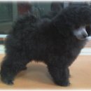 스테이 모량 이미지