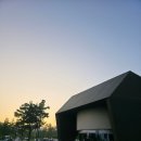 할매손식당 | 대부도 애견동반 칼국수 맛집 | 엄지척까투리할매손칼국수 내돈내산 후기