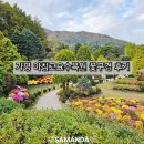 아침에꽃 | 추억 돌아보기 가평 아침고요수목원 꽃구경 후기