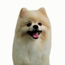 메모리멍 이미지