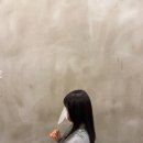 테드헤어 이미지