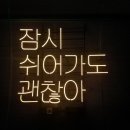 오데이지 이미지