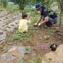 혜온농장 네이버블로그