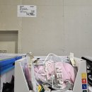 함정 낙곱새 | 평택 코스트코 푸드코트 메뉴 가격 주차장 할인상품 쇼핑 후기