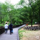 치유의 숲 방문자센터 이미지