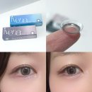 데이미 | [연말 홀리데이 렌즈 추천] 렌즈미 악마 원데이 이베나 그레이, 쵸코 사용후기