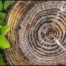 김해행정사 이미지