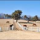 대학목장 이미지