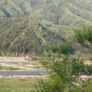 강촌강변오토캠핑장 이미지