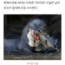 연평회관 | 연평도 집밥 일상