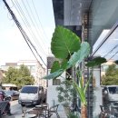프로메떼레카페 네이버블로그