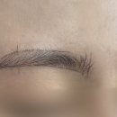더디자인선 이미지