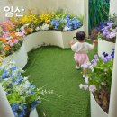 고양파주벼룩시장(주) | 일산 아기랑 가볼만한곳, 키즈카페보다 좋은 고양어린이박물관 4회 주말방문후기