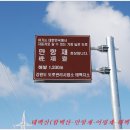 환상의 추억 이미지