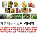 [천연 허브] 자무 비누,스틱,천연 염색약 (유통/판매) 이미지