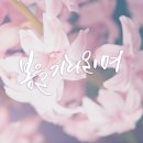 송림중고.돌마고교 이미지