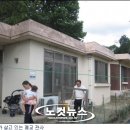 강진-9 이미지