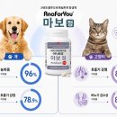 회원동물메디컬센터 데일리벳
