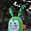 초리골협동조합 이미지