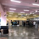 프린스 펫타운 이미지