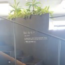 야동농장 이미지