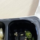전찬배 이미지