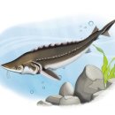 KW(케이더블유) 사기 걱정 없이 따뜻한 연말 준비 kw-caviar.com