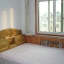 편안 민박 이미지